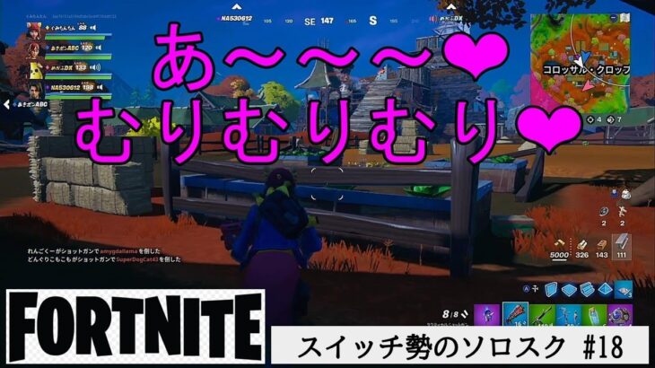 女の子のボイチャが可愛すぎて集中できない【FORTNITE/フォートナイト】スイッチ勢のソロスク #18