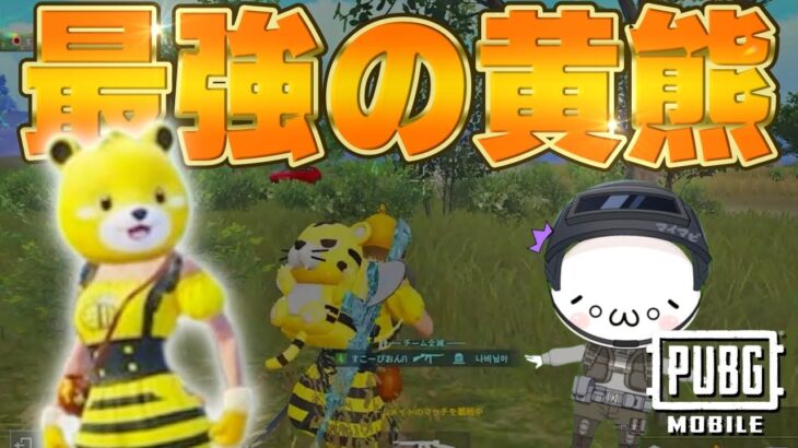 【PUBGモバイル】最強！このクマさんの可愛さと強さにきっとみんな魅了されます【マイマビ/切り抜き】【PUBGMOBILE】