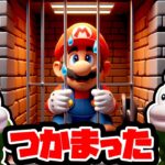 運悪く敵に捕まったマリオを弟のルイージが助けに行く話【スーパーマリオメーカー2 / Super Mario maker 2】 #マリオ