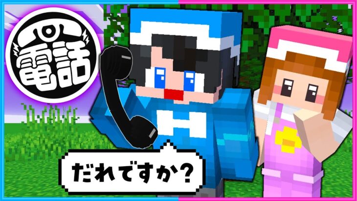 知らない人から電話がかかってくるマインクラフト【 マイクラ / Minecraft  】