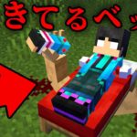 生きてるベッドの都市伝説を検証した結果…【 マイクラ / マインクラフト 】