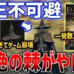 【ELDEN RING】DLCぶっ壊れ魔術「拒絶の棘」が超絶やばくて絶対許されない、ゲーム崩壊級の火力【エルデンリング】SHADOW OF THE ERDTREE