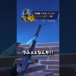 NPCを撃っていただけなのに。。。【フォートナイト/Fortnite】