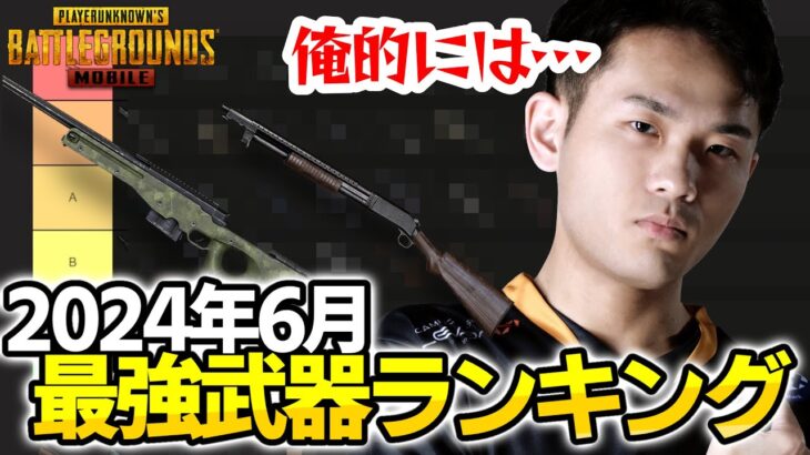 【初心者必見】俺的最強武器ランキングを話す。【PUBGモバイル】