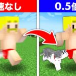 【マイクラ】ちょうどいい！を目指せ！倍速視聴ミニゲーム！