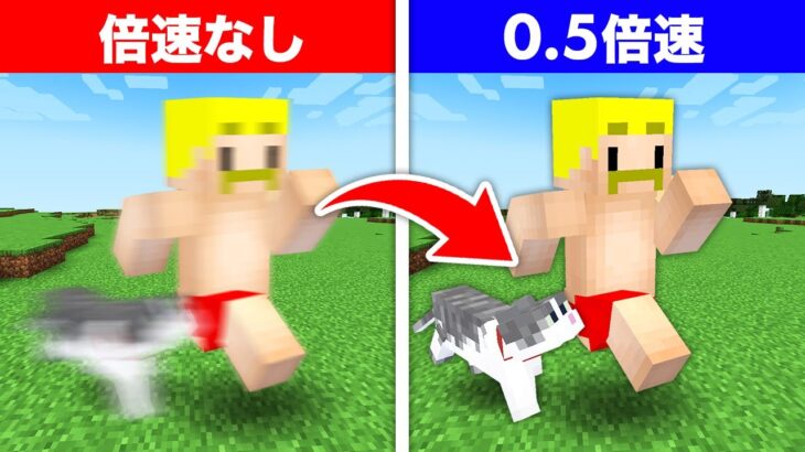 【マイクラ】ちょうどいい！を目指せ！倍速視聴ミニゲーム！