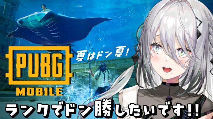 【 PUBG MOBILE 】PUBGドン夏！コラボ配信に向けて特訓だぁあ！！【にじさんじ/ソフィア・ヴァレンタイン】