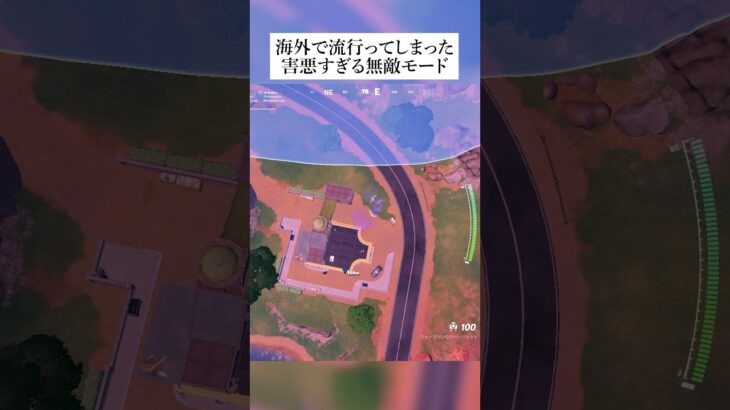 海外でバズってしまった害悪すぎる無敵モード #fortnite #フォートナイト #バグ #グリッチ