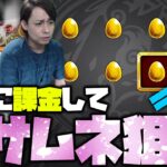 【モンスト】マサムネ未所持の男が勝手に課金してマサムネを狙った結果【ぎこちゃん】